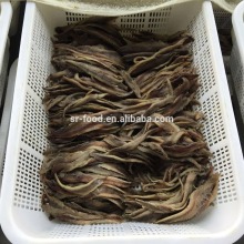 Hot sale salted anchovy fillet