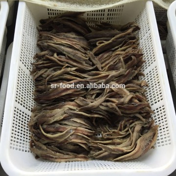 Hot sale salted anchovy fillet
