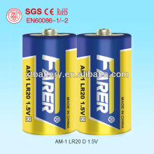 dry cell battery