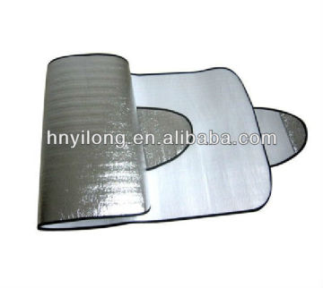 dual purpose car snow shade