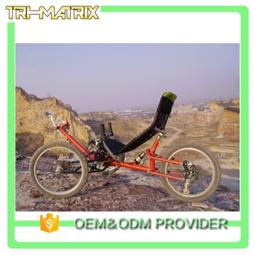 Service supremacy crazy selling eclectic recumbent trike