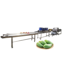 Spray Type Fruit Apple Cleaning Machine for Canned Fruit Production Line