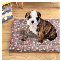 Coussin pour chien chat chaud épaissi