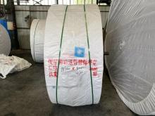 PVG1000S Solid Woven Conveyor Belt