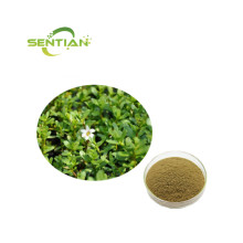 Natural Bacopa Monnieri Extract Powder
