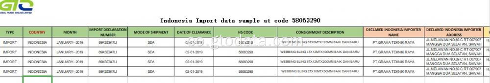 Sample di dati impurtate à u codice 58063290290