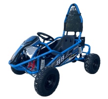 2024 Off-Road 125cc Go Kart Racing for Kids