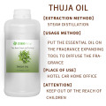 100%reines Thuja -ätherisches Öl für die Hautpflege Aromatherapie nähren