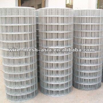 Galvanized welded wrie mesh(direct factory)