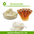 Extrait de racine de ginseng rouge coréen Ginsenoside 5% poudre