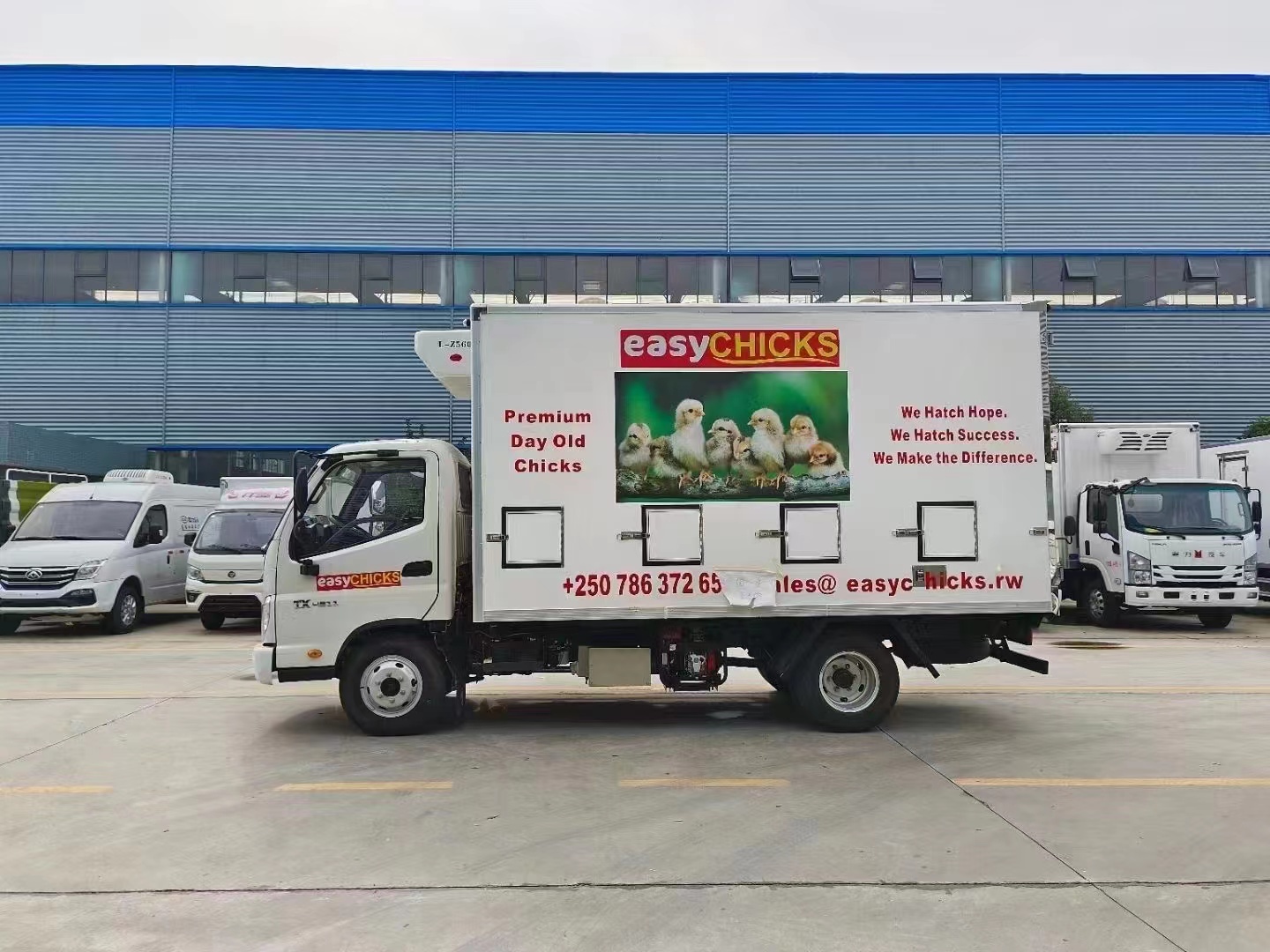 Foton Chicker portador (2) FOTON Chicker Carrier (2)