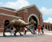 bronze standing camel statue