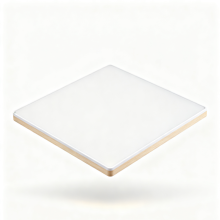 Ultra Bright Flat Ceiling Light