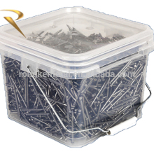 Bullet head nail for Australia market