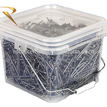 Bullet head nail for Australia market