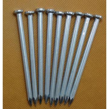 Factory galvanized and polished concrete nails for building