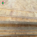 9/12 / 15MM 18MM OSB WBP للماء OSB