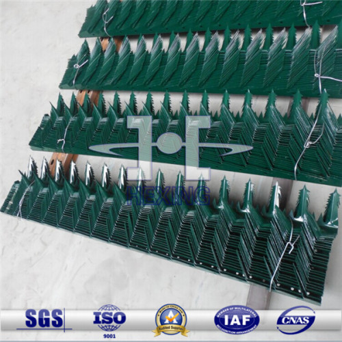 Security Hot-dipped/Powder coated galvanized wall spike