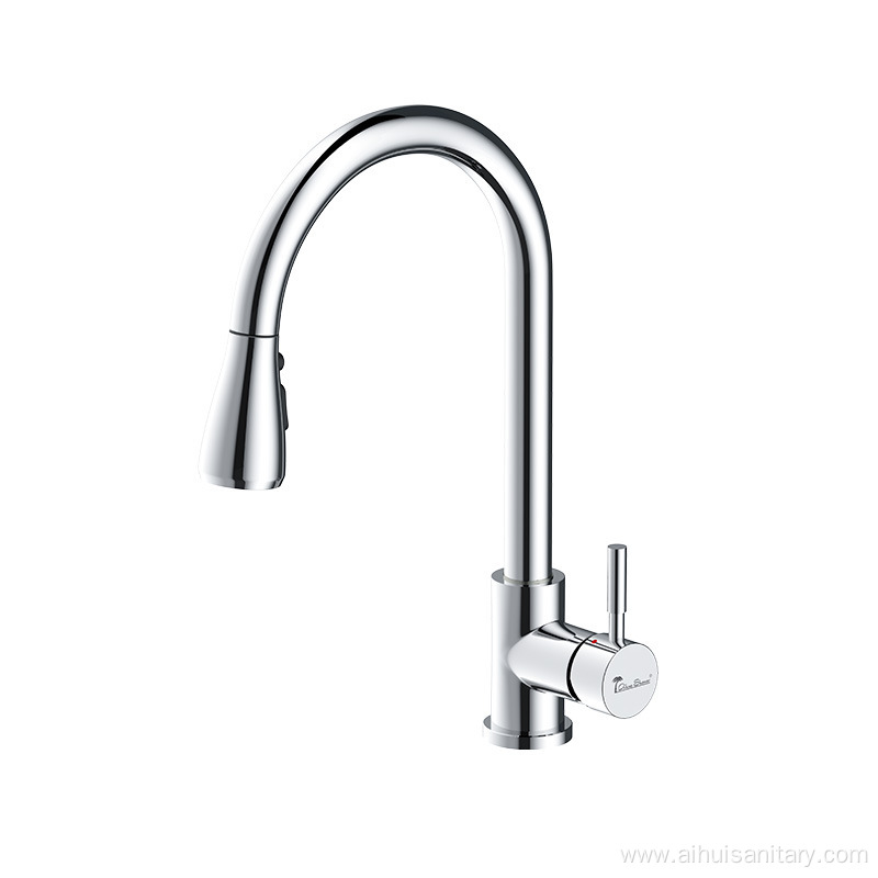 Single-Handle Kitchen Sink Faucet with Pull out Sprayer