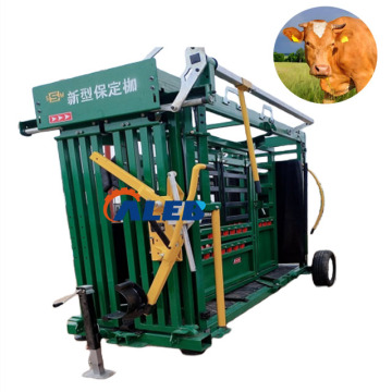 Automated Cattle Handling System with Integrated Weighing Scale