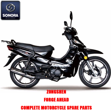 Zongshen FORGE AHEAD Complete Engine Body Kit Spare Parts Original Spare Parts