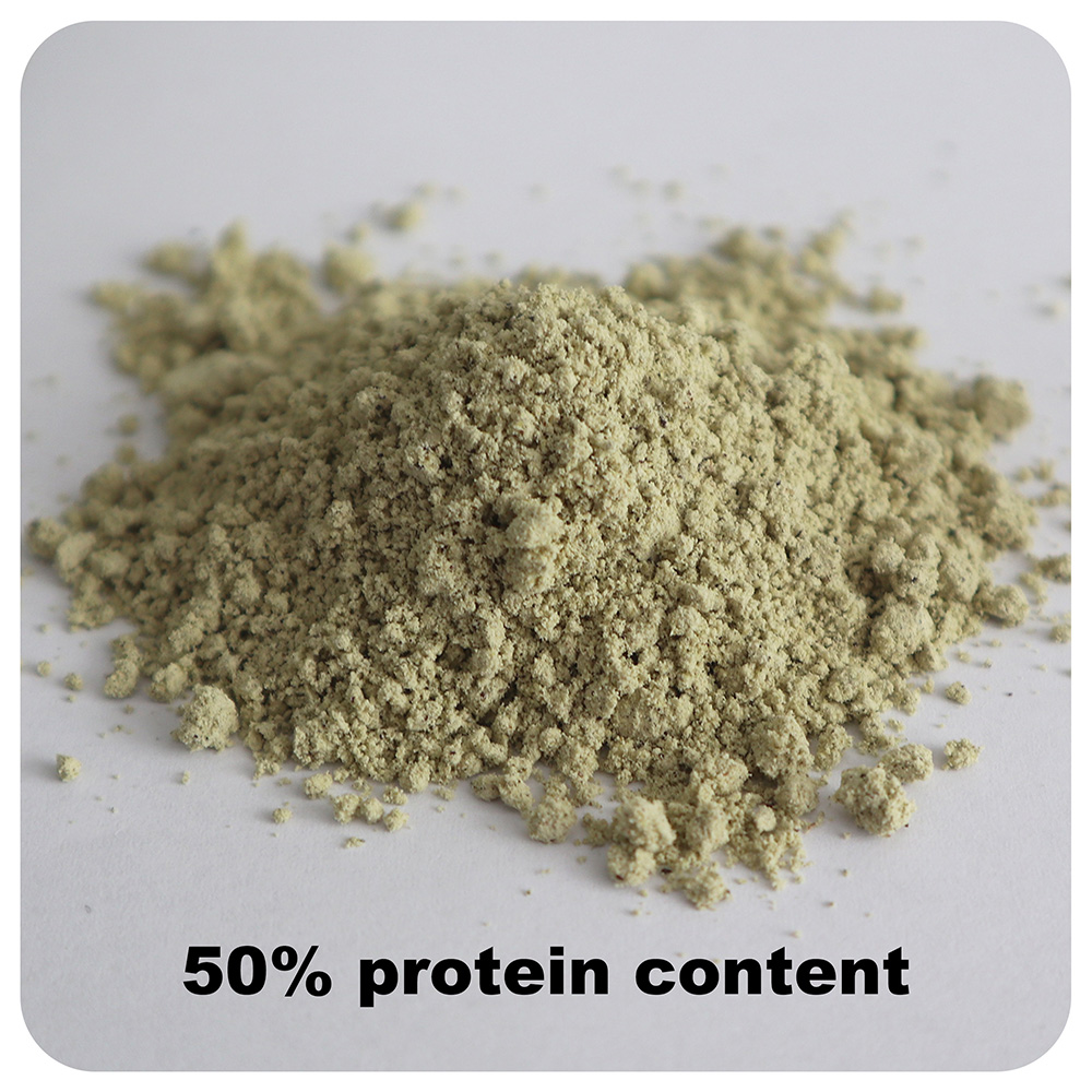 Hemp Seed Powder