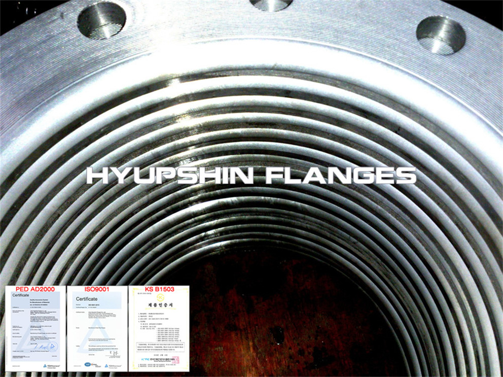 Hyupshin Flanges Ansi150 Lap Joint