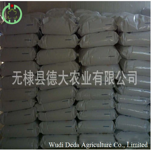 Animal Feed Fish Meal