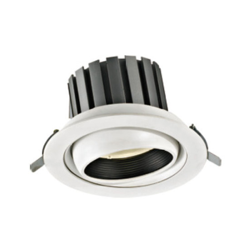 LEDER COB Watt Brilliant 30W LED Downlight