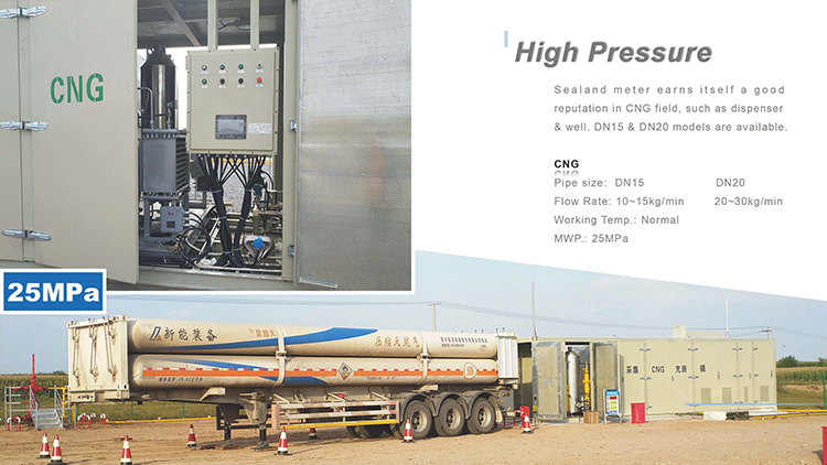 ATEX CE approved Coriolis mass flow transmitter