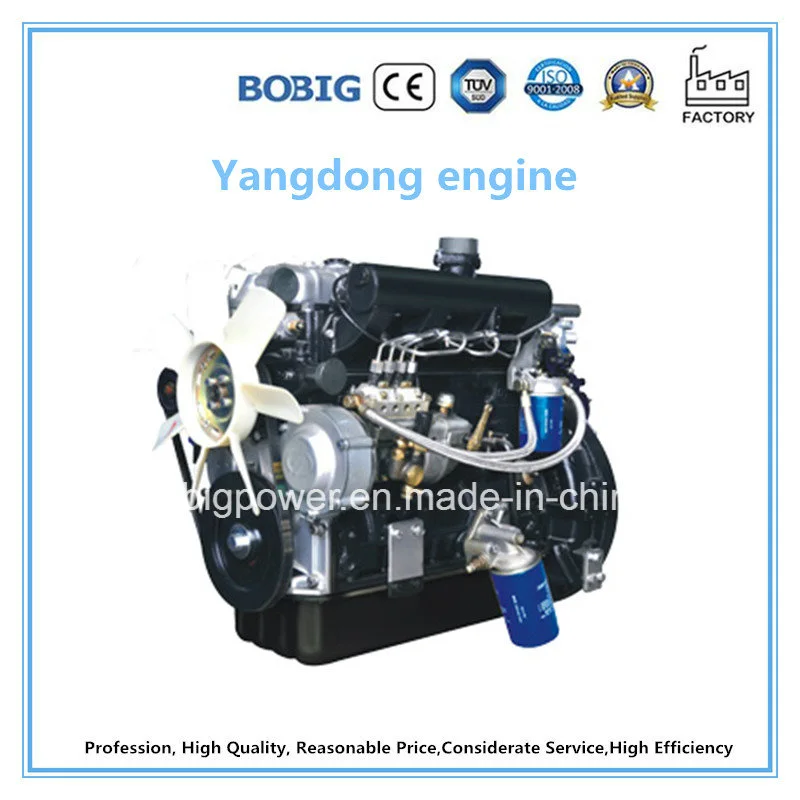 25kVA Diesel Generator Powered by Chinese Yangdong Engine