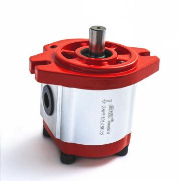 hydraulic external gear pump