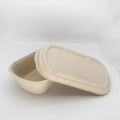 Bagasse Take Away Container Composterable Paper Environment