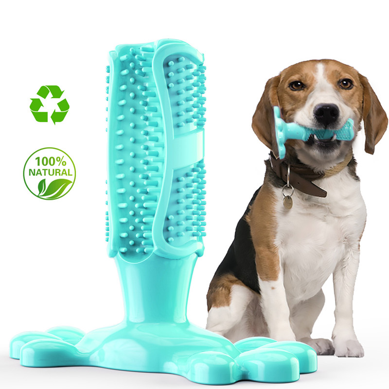 Finger Teeth Cleaning pet Brush Stick Cactus