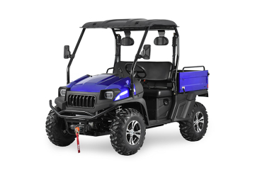 Electric Car/Mini/Battery UTV with EEC Certificate