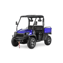 Elektro -Auto/Mini/Batterie UTV mit EEC -Zertifikat