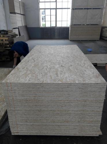 OSB/orient standard Lembaga /osb2