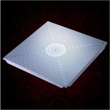 Clip in Aluminum Ceiling Title