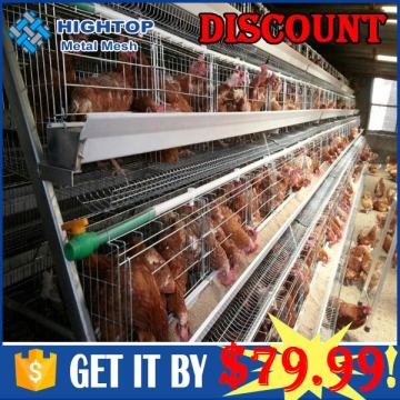 3-tier cage with easy egg collection systerm poultry farm equipment for sale