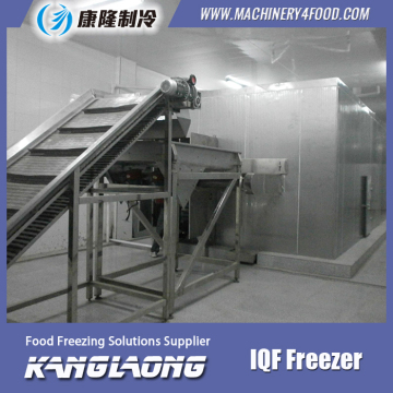 High Quality Vegetable IQF Freezer Individual Quick Freezing