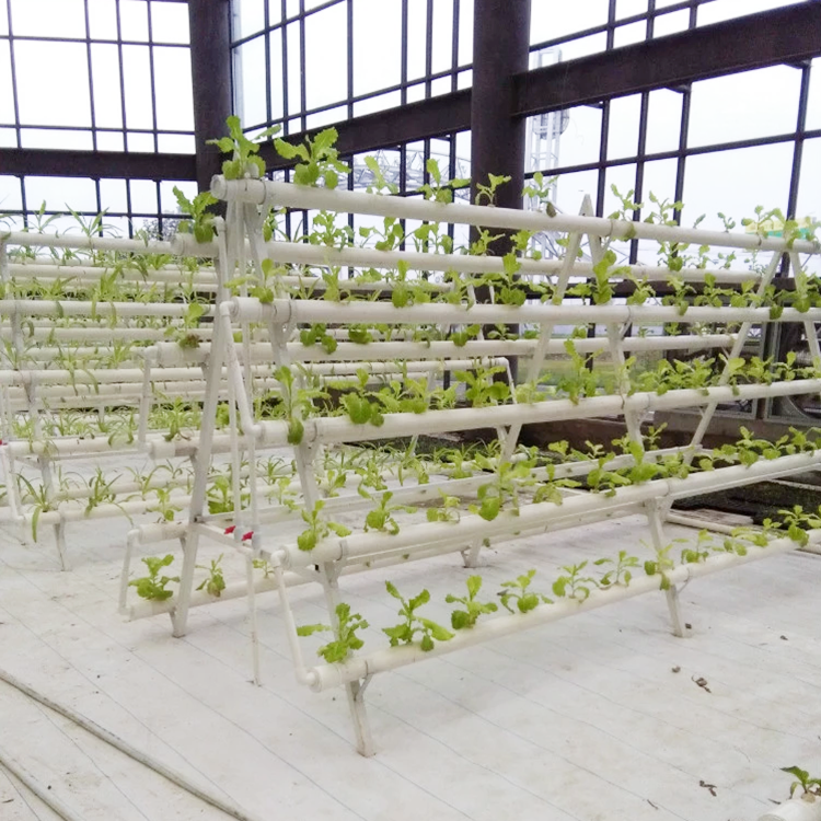 Agricultural Hydroponic NFT Planting Growing System