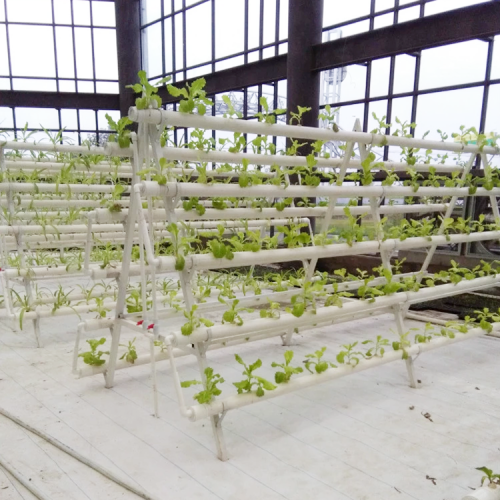 Système de culture de culture hydroponique NFT agricole