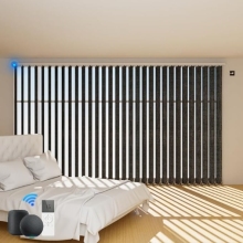 Motorized Double Layer Zebra Blind: Day and Night Luxury Curtain Shade