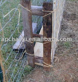 cattle fencing