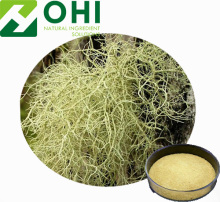 Usnea Barbata Lichen Extract Usnic Acid