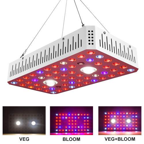 1000W COB licht groeien