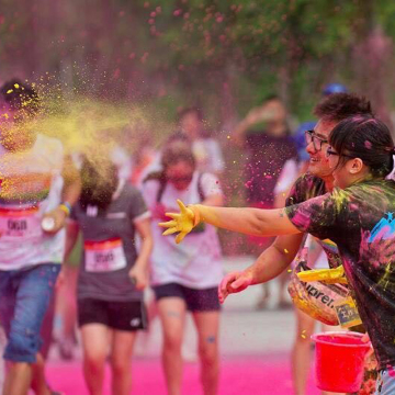 100g packs Organic Natural Holi festival of Colours