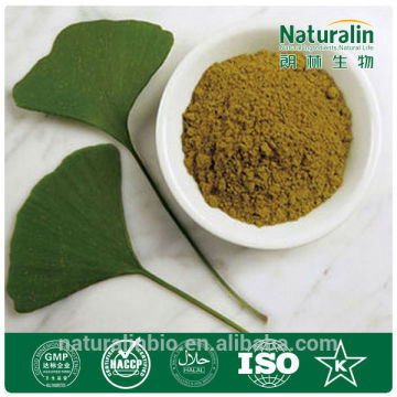 High Quality Gingko Biloba Leaf Extract USP30