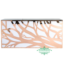 Modern Stainless Steel Gold Bars Display Counter: Enhancing Your Precious Metals Showcase