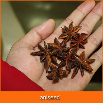 aniseed